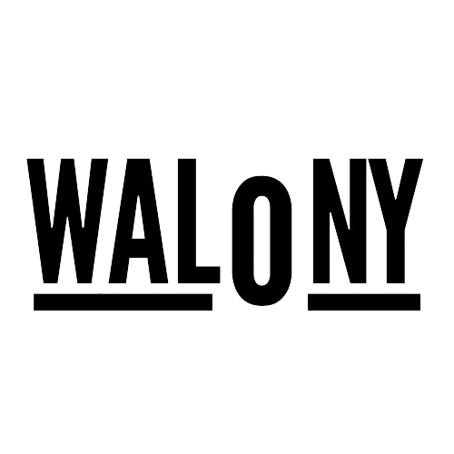 walony agencia diseño web